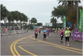 Reviews of races near St. Petersburg, FL.