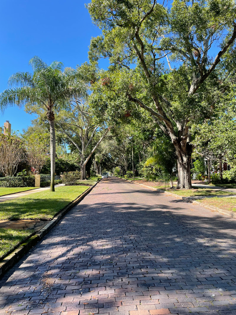 Blue sky and shade trees on a brick street in St Petersburg, Florida