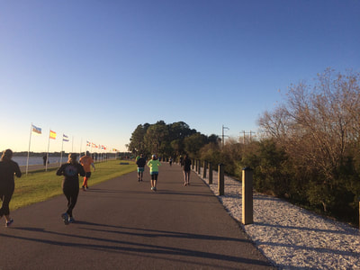 Half marathon runners in Nathan Benderson Park, Sarasota, FL.