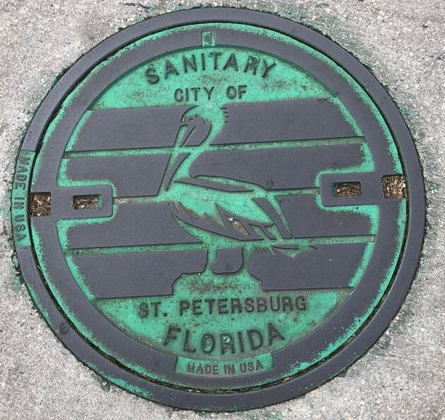 Sewer cover in downtown St Petersburg, Florida. Green patina with a pelican and stripes on it.