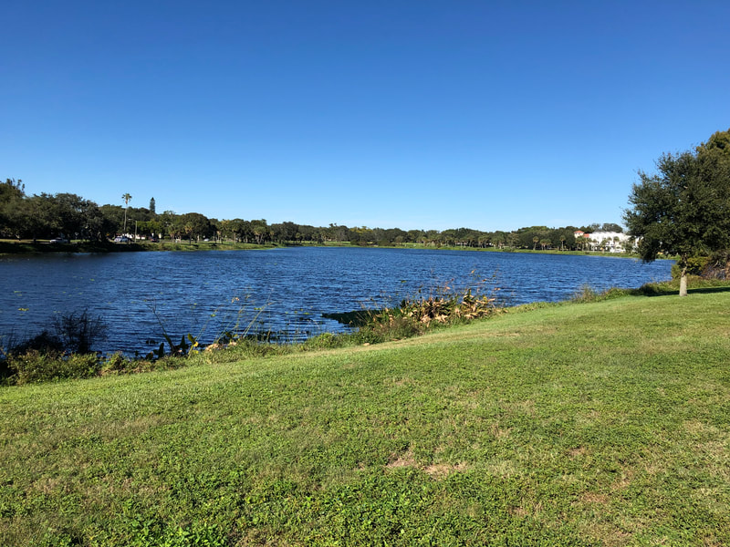 Crescent Lake in St. Petersburg, FL
