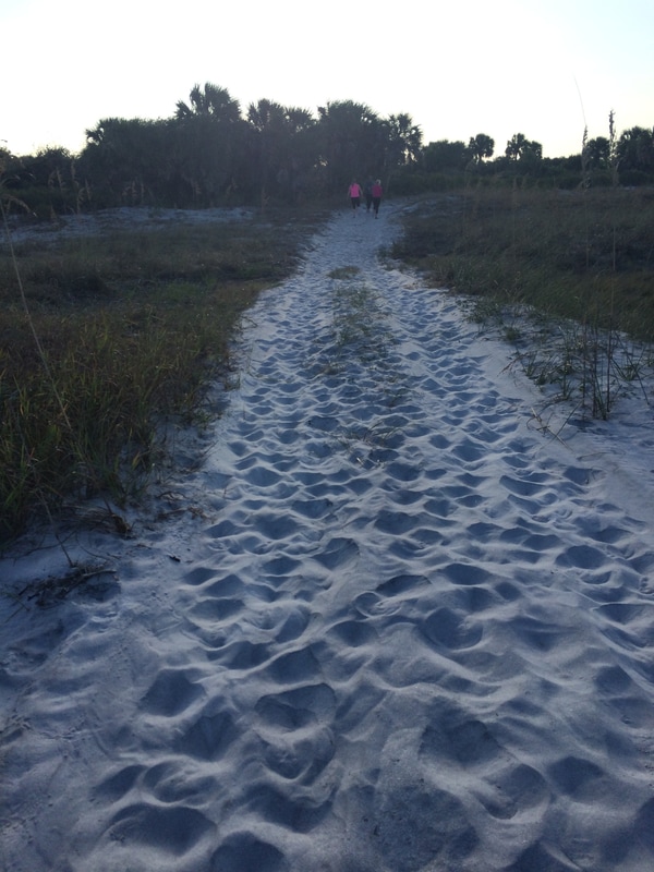 soft sandy trails at Caladesi Island park.