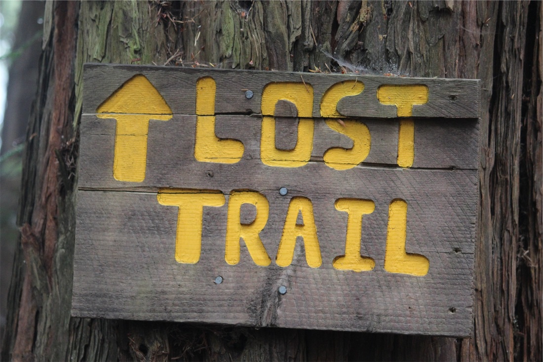 This Old Runner 404 Page Lost Trail Photo