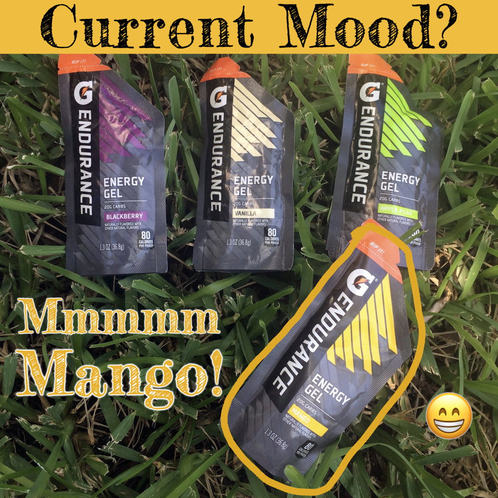 Gatorade Endurance Formula Mango Energy Gel