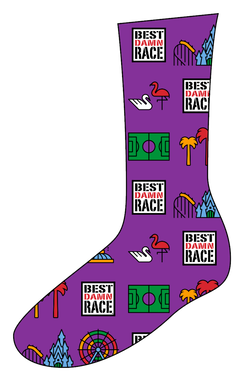 Best Damn Race Orlando socks.