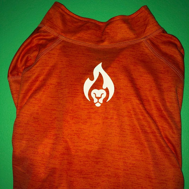 Back view of the orange Bib Rave Pro pullover long sleeve.