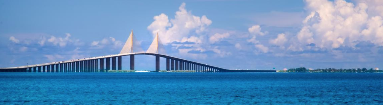 Picture of the Sunshine Skyway Bridge in Tampa Bay.