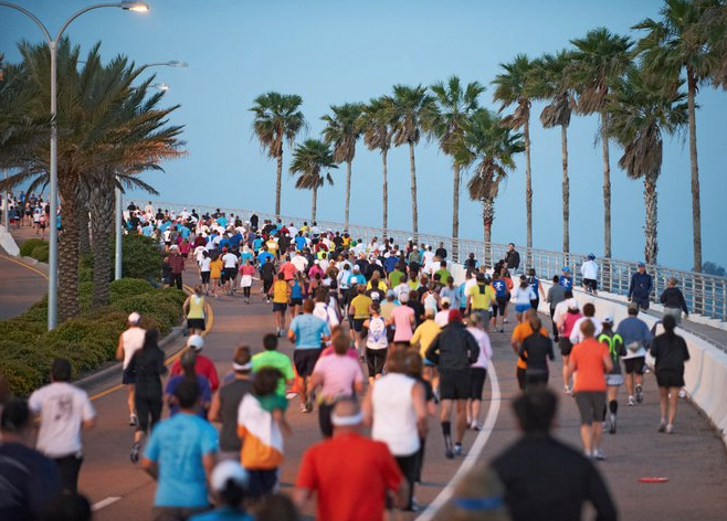 Runners in First Watch Sarasota Half Marathon on Ringling Bridge.