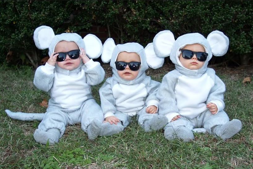 3 babies in blind mice costumes.