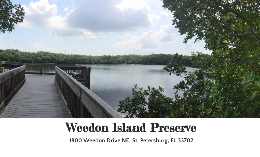 View of the water from a boardwalk at Weedon Island Preserve in St. Petersburg, Florida.