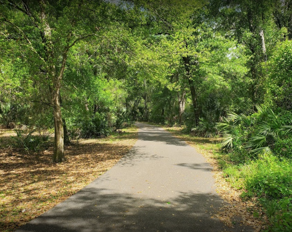 A paved trail in Starkey Park.